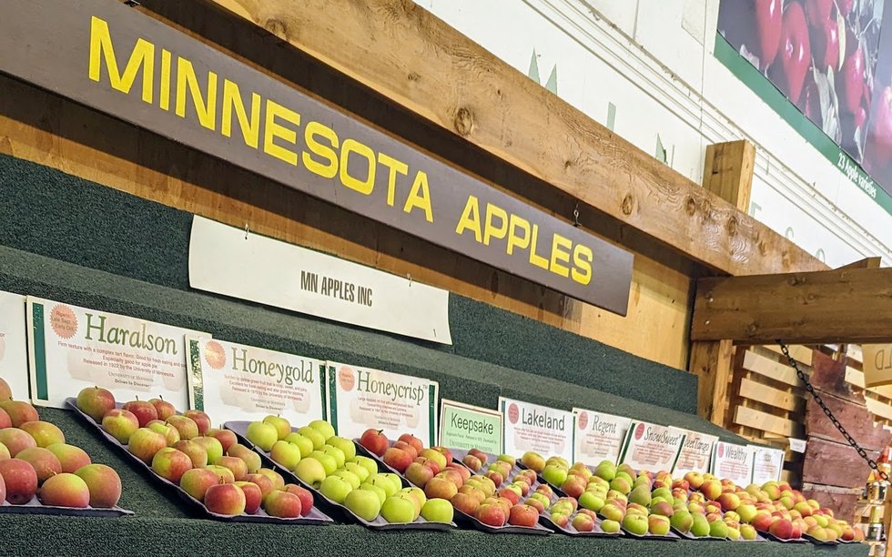 Minnesota Apples
